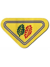 Carica l'immagine nel visualizzatore di Gallery, Distintivi LC Specialità